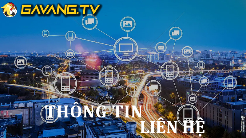 Thông Tin Liên Hệ Tại GavangTV